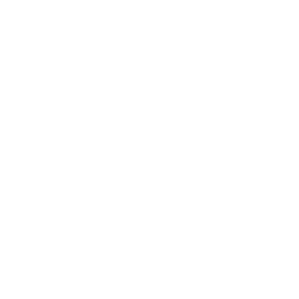 מלך אריה, לוגו של Football Tech.